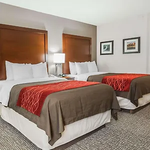 Hotel Comfort East